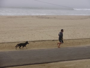 Dog Beach in Huntington Beach, California