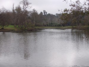 Huntington Central Park Lake